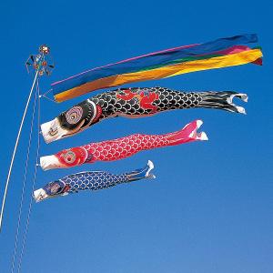 徳永鯉 鯉のぼり 庭用 大翔 3m 8点 庭園用 ガーデンセット 鯉5匹 徳永