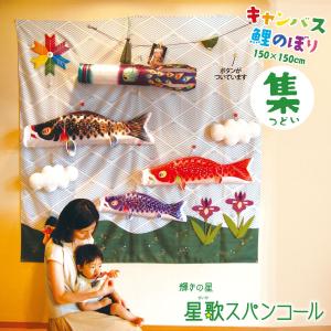 こいのぼり 鯉のぼり 片岡鶴太郎 虹鯉 :tsuru-nijigoi-mame:人形屋