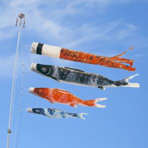 鯉のぼり こいのぼり 翔勇鯉ガーデンセット 4m 8点 ポール6.7m 杭