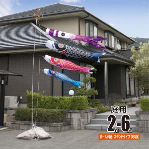 鯉のぼり 岡本太郎鯉のぼり 岡本太郎ミュージアム限定品 大型鯉庭園用