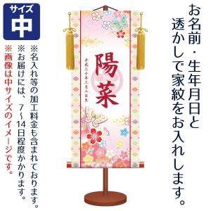 35号 間口105cm 五段 スチール製 ひな壇 （普及タイプ） 雛人形用 ひな