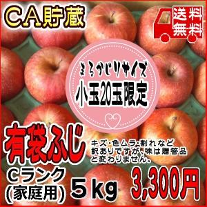 トミおじさんのお店 CA貯蔵 送料無料 長野県産 りんご 小玉　有袋ふじ　Ｃランク （家庭用） ５kg(20玉) まるかじりで_訳あり（キズ・色ムラ・割れなど）