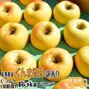 甘味が濃いりんご ぐんま名月  Ｃランク 家庭用  約5kg 訳あり 送料無料 フルーツ 長野産 リンゴ