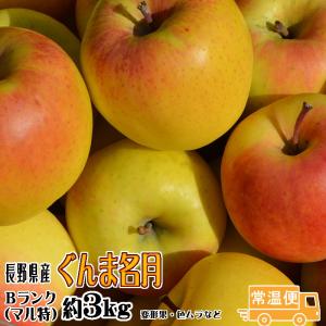 甘味が濃いりんご ぐんま名月  Ｂランク マル特 約3kg フルーツ 長野県産 リンゴ 送料無料 ギフト