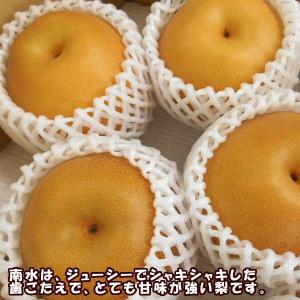 【予約】梨 なし ナシ 南水梨 約3kg 贈答...の詳細画像3