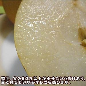 【予約】梨 なし ナシ 南水梨 約3kg 贈答...の詳細画像4
