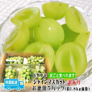 クール便配送 訳あり ぶどう シャインマスカットお徳用５パック入 約1.8kg前後 長野県産 皮ごと食べられます 粒ふぞろい・スレなど 家庭用 お取り寄せ