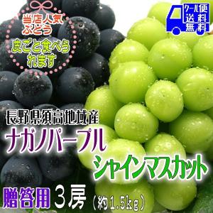 3房詰 約1.5kg ナガノパープル・シャインマスカット 長野県須高地域産 食べ比べ ギフト 贈答向け クール便 送料無料 種なし 皮ごと ぶどう 詰合せ