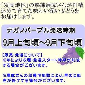 予約 ナガノパープル 約1.8kg(2〜4房詰...の詳細画像5