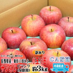 りんご 訳あり サンふじ 約3kg Cランク 小玉 12玉詰 長野県産りんご 家庭用 送料無料 フルーツ リンゴ 果物 くだもの 信州 CA貯蔵