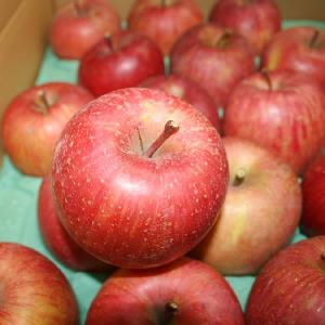 訳あり サンふじ 約3kg Cランク 長野県産...の詳細画像1