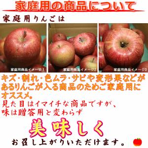 訳あり サンふじ 約3kg Cランク 長野県産...の詳細画像4
