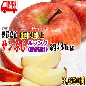 ギフト りんご CA貯蔵 サンふじ 約3kg Aランク 贈答用 糖度13度以上 長野県産 送料無料 フルーツ リンゴ 信州