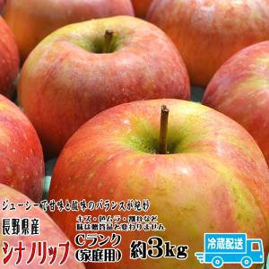 シナノリップ Cランク（家庭用）約３kg （9〜11玉) 長野県産 クール便 送料無料 フルーツ りんご お取り寄せ 8月中旬頃〜下旬頃