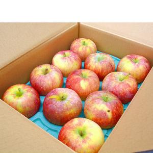 シナノリップ Cランク(家庭用)約3kg (9...の詳細画像1