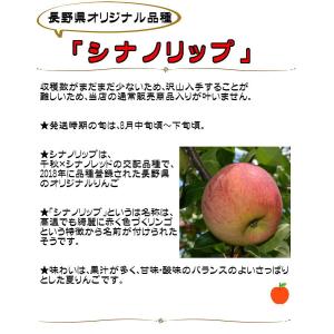 シナノリップ Cランク(家庭用)約3kg (9...の詳細画像3