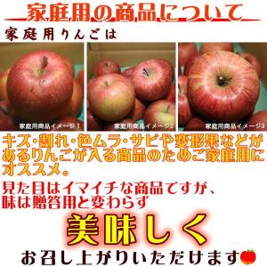 シナノリップ Cランク(家庭用)約3kg (9...の詳細画像4