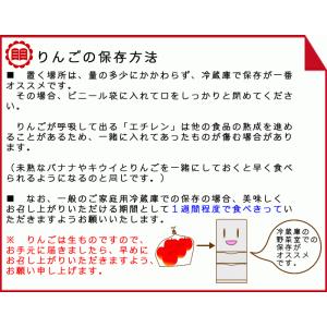 シナノリップ Cランク(家庭用)約3kg (9...の詳細画像5