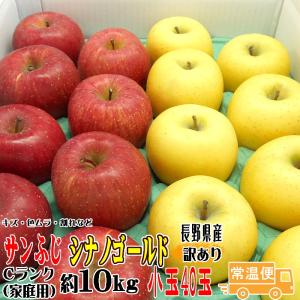 りんご 訳あり サンふじ・シナノゴールド 詰合せ Cランク 家庭用 約10kg 小玉40玉 長野県産 送料無料 リンゴ