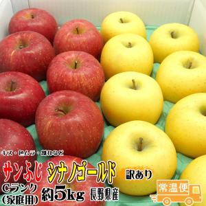 りんご  訳あり サンふじ・シナノゴールド 詰合せ Cランク 家庭用 約5kg 長野県産 送料無料 フルーツ リンゴ