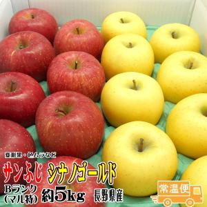ギフト りんご サンふじ・シナノゴールド 詰合せ Bランク マル特 約5kg 長野県産 送料無料 フルーツリンゴ お取り寄せ