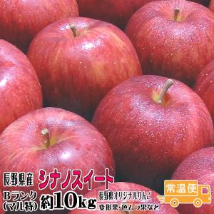 ギフト りんご シナノスイート Bランク マル特 約 10kg 長野県産 リン ゴ フルーツ 信州 送料無料 10月中旬頃〜