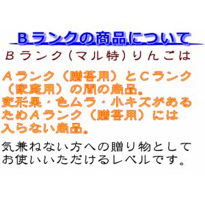 ギフト りんご シナノスイート Bランク マル...の詳細画像4