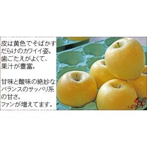 予約 訳あり りんご シナノゴールド 約3kg...の詳細画像1