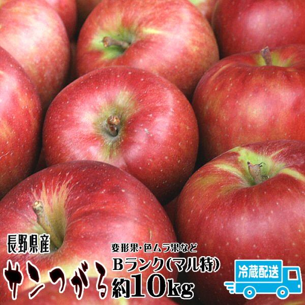りんご サンつがる Bランク マル特 約 10kg 28玉〜36玉 長野県産 リンゴ フルーツ 信州...