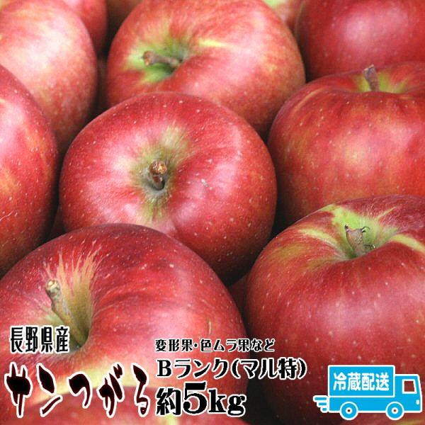 りんご サンつがる Bランク マル特 約 5kg 14玉〜18玉 長野県産 リンゴ フルーツ 信州 ...