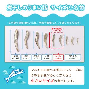 小魚 おやつ にぼし いりこ マルトモのにぼし...の詳細画像5