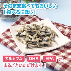 小魚 おやつ にぼし いりこ マルトモ公式 食...の詳細画像2