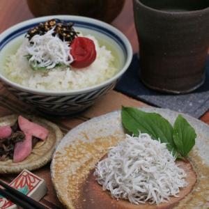 しらす 天日干 1kg  太陽の恵みいっぱい 天日干しらす 紀州湯浅 直送！しっとりと、柔らかく上品な味わい。 和歌山県優良県産品認定｜marutomokaisan