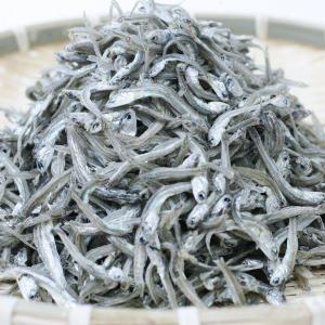 かえり ちりめん 1kg 噛めば噛むほど潮風香る味が口の中にあふれだす