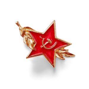 ソ連 ソビエト ピンバッジ 星 葉 レッド ロシア 軍 ミリタリー バッジ