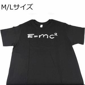 e=mc2 Tシャツ グレー アインシュタイン 特殊相対性理論 M・Lサイズ