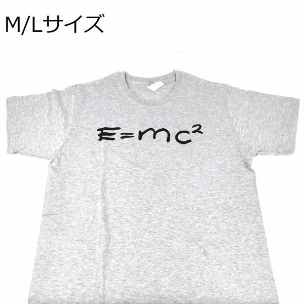 e=mc2 Tシャツ グレー アインシュタイン 特殊相対性理論 M・Lサイズ 質量とエネルギーの等価...