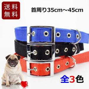 犬用 首輪 リード付き 中型犬 首周り 35cmから45cm 全3色 DM便送料無料｜marutomostore