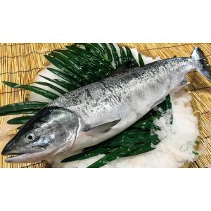 【送料無料】北海道宗谷産　沖獲れ天然生秋鮭　メス　3.5kg前後(まるごと１尾)(数量・期間限定)