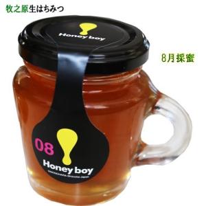 濃厚なコク!しっかりした甘み 静岡 牧之原 国産生はちみつ 8月採蜜 Hanyboy-08 非加熱 無農薬 天然生蜂蜜 蜂蜜 無添加 ハニー 完熟純粋 ミックス ナッツ