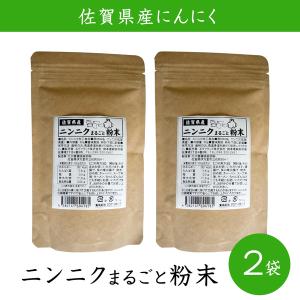 佐賀県産 ニンニクまるごと粉末60g 2袋セット ネコポス発送｜marutto-markets