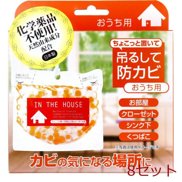 ちょこっと置いて吊るして防カビ おうち用 160g 8個セット
