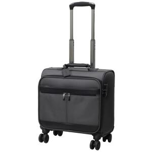 スーツケース キャリーケース 横型 双輪キャスター TSAロック パンビーヌ PS C4