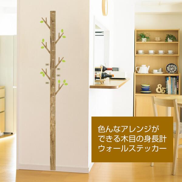ウォールステッカー 身長計 木の身長計 ベージュ 日本製 ベージュ ステッカー シール