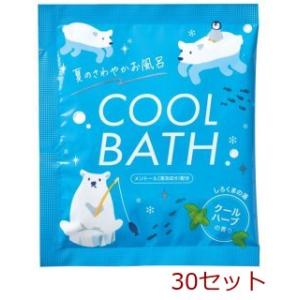 業務用 薬用 入浴剤 ブルーベリーの香湯 6kg×2袋 12kg 計量カップ付