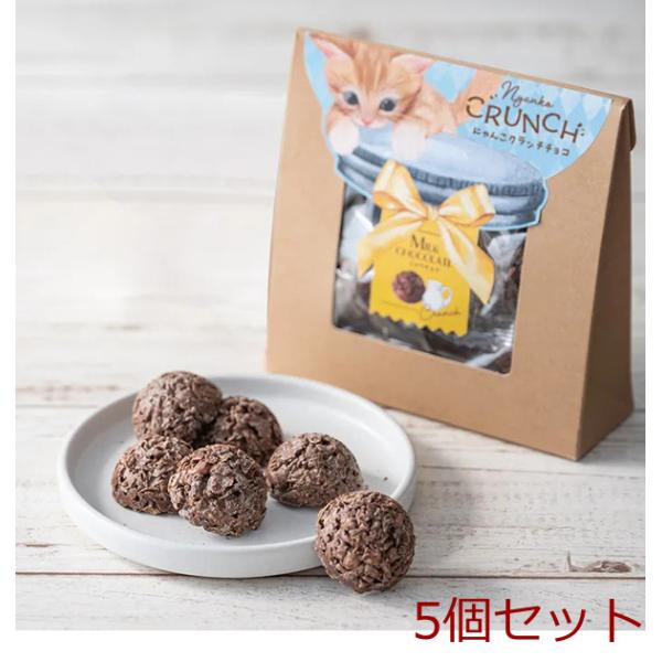 ベビーミャオ にゃんこクランチチョコ ミルクチョコ 5個セット