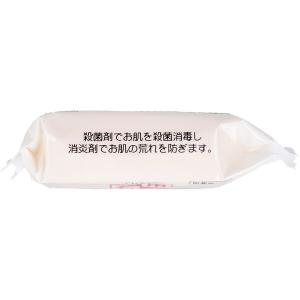 薬用石鹸 デオドラントソープ 90g 20個セットの詳細画像2