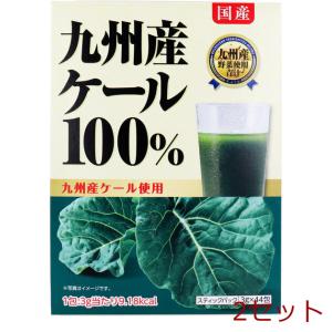 九州産ケール100％ スティックパック 3g×44包入 2セット