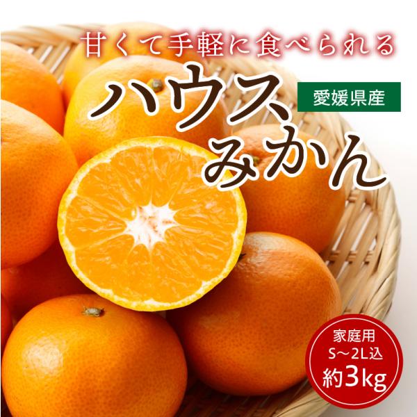 みかん ハウスみかん ハウスミカン 温室みかん 家庭用 S~2L込 約3kg 約25~42玉 愛媛産...