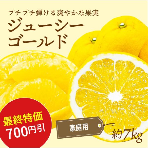 みかん ジューシーゴールド 河内晩柑 家庭用 約7kg 愛媛産 美生柑 みしょうかん 送料無料 産地...